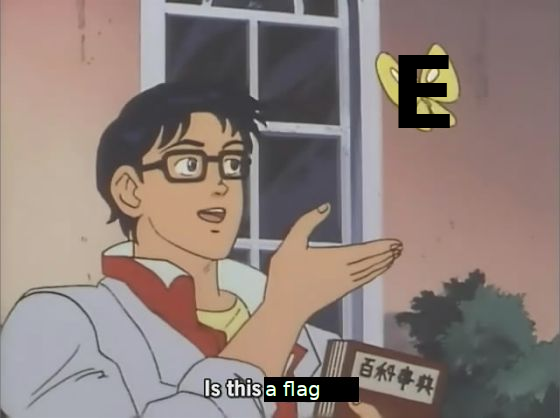 is_this_a_flag